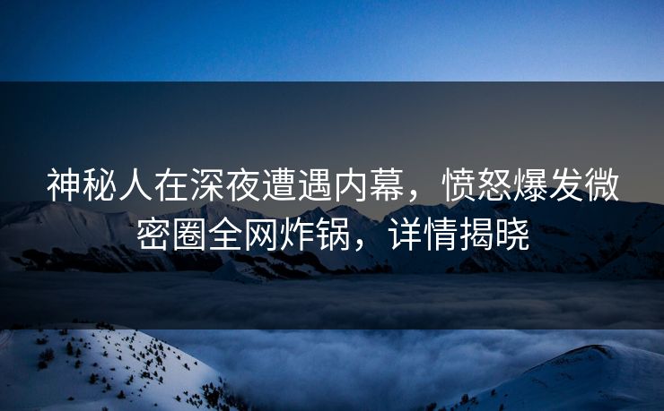 神秘人在深夜遭遇内幕，愤怒爆发微密圈全网炸锅，详情揭晓