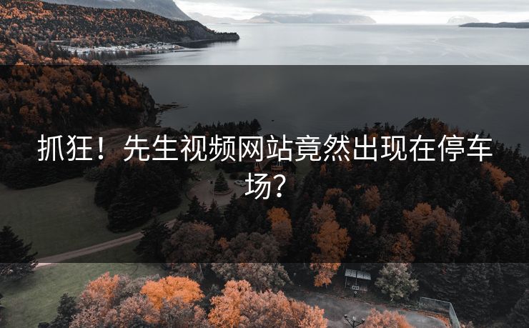 抓狂！先生视频网站竟然出现在停车场？