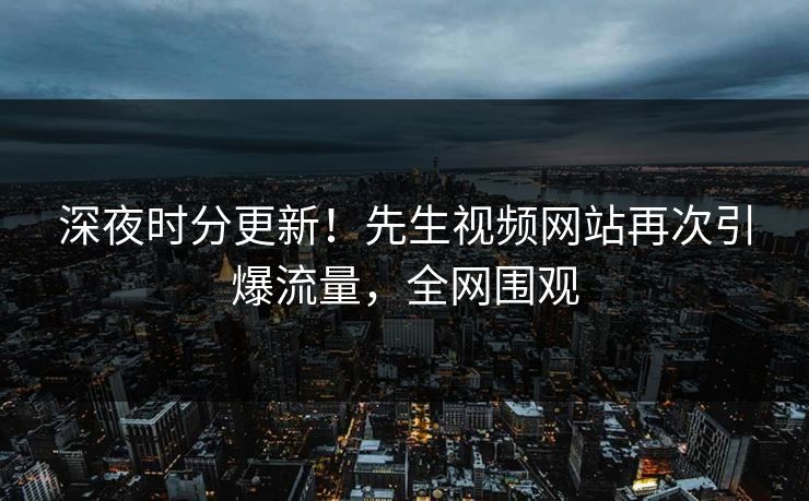 深夜时分更新！先生视频网站再次引爆流量，全网围观