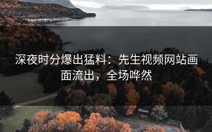 深夜时分爆出猛料：先生视频网站画面流出，全场哗然