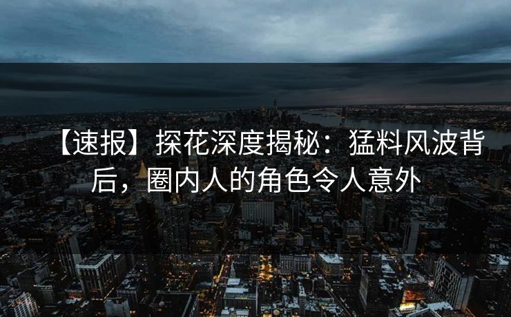 【速报】探花深度揭秘：猛料风波背后，圈内人的角色令人意外