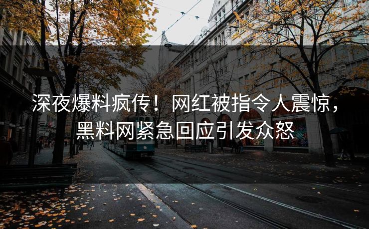 深夜爆料疯传！网红被指令人震惊，黑料网紧急回应引发众怒