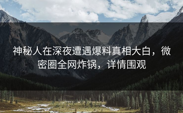 神秘人在深夜遭遇爆料真相大白，微密圈全网炸锅，详情围观