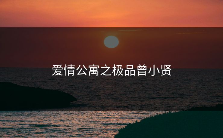爱情公寓之极品曾小贤